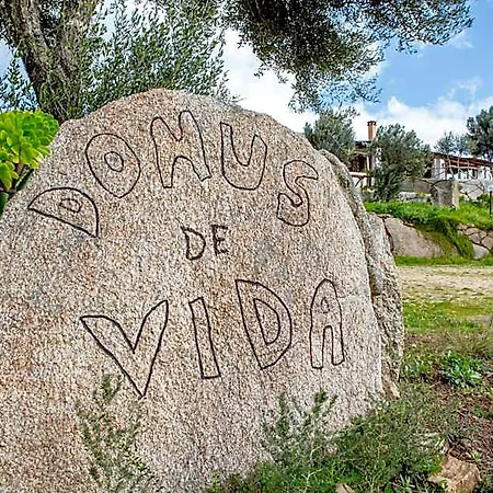Domus De Vida *